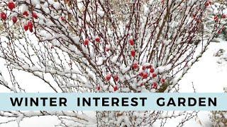 It's Snowing! Winter Interest Garden Tour