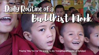 A day in the life of a Buddhist Monk || Padma Ladakh || Ladakhi Vlogger