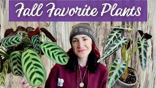 Fall Plant Faves | 12 Plants Really Impressing Me This Fall