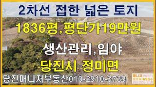 (토200229)당진토지매매,당진임야매매,정미면임야,도로접함 6070㎡( 1836평)