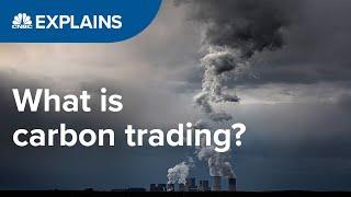 What is carbon trading? | CNBC International