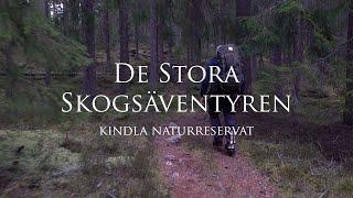 Vandring i Kindla Naturreservat | Hiking in Kindla Nature Reserve