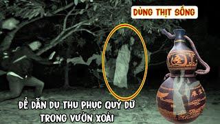 Săn ma "Hồi hộp từng phút" khi trở lại thu phục qu.ỷ dữ trong khu vườn xoài bỏ hoang - phim ma