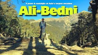 Himalayas,Doggo ,Trekking & Nostalgia | BEDNI BUGYAAL