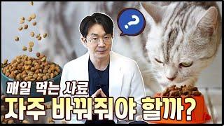 고양이 사료 자주 바꿔주는것이 좋을까요?