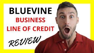  BlueVine Business Line of Credit Review: Pros and Cons