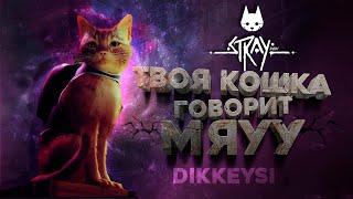 Stray | Добрая киса спасет мир!