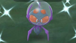 Shiny Dewpider Spotlight Hour!