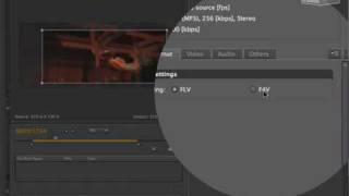 Encoding Video for Flash with the Adobe Media Encoder CS4