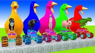 5 Giant Duck Cartoon,Cow,Lion,T-Rex,Husky,Bear,Monkey Paint Wild Animals Crossing Fountain Animation