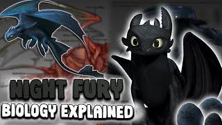 Night Fury Biology  | Secrets of HTTYD’s Extinct Dragon