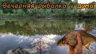 Вечерняя рыбалка у дома на поплавок!Май 2023.