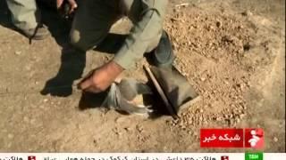 Iran Environment guard personnel arrest bird of prey smugglers بازداشت قاچاقچيان پرنده شكاري ايران