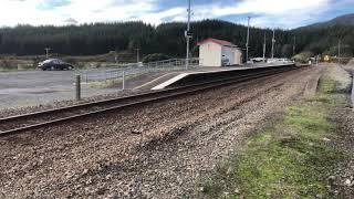 DFB 7267 with log train 649 pass through maymorn