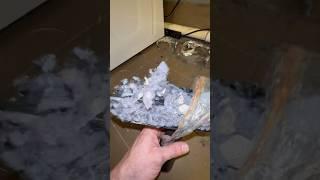 Satisfying Vent Clean (Beauty Salon) #dryerventcleaning #laundry #oddlysatisfying #cleaning #asmr