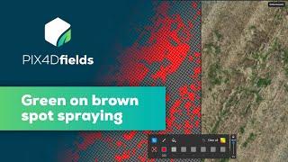 Green on Brown Spot Spraying - Mapping fallow weeds with PIX4Dfields