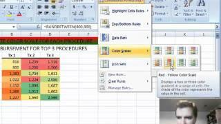 Excel Video 49 Color Scales