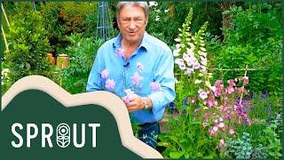 Alan Titchmarsh's Gardening Tips Revealed | Sprout