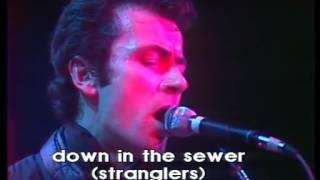 the stranglers   live french TV 1979