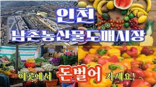 인천 남촌 농산물 도매시장(Incheon Namchon Agricultural Products Wholesale Market), 과일 및 야채 시장구경.