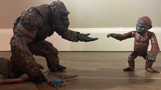 Kong meets suko ￼