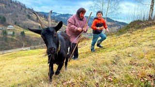 A Day in the Life of Mountain Grandparents: Farming, Crafting, and Family Moments