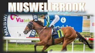 【MUSWELLBROOK】 AUSTRALIA HORSE RACE ANALYSIS