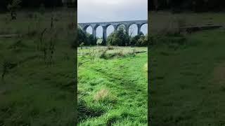 Porthkerry Viaduct #shorts #railway #viaduct  #lovegreatbritain