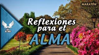 Frases y Reflexiones para el Alma ¦¦ Inspiración y Empoderamiento