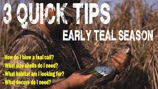 3 Tips for Early Teal Season!