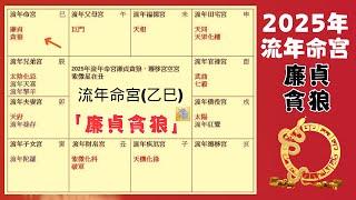 2025 蛇年運勢｜乙巳年｜廉貞貪狼｜流年運勢- 整體運勢、事業運、財運、工作、健康詳細解析