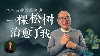 在浮躁中迷茫，我被这个故事治愈了，也许也能治愈你