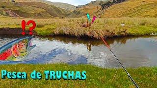 Aventura y pesca de TRUCHAS en nuestra hermosa Sierra del Perú