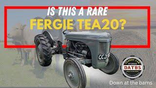 Ferguson TEA20 -HOW RARE IS THIS TRACTOR ?| Down at the barns #te20