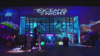 Bioluminescent blue wave experience opening in Southern California