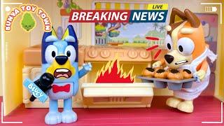 Bluey's News Show  | Fun Play with Bluey Toys | Bunya Toy Town