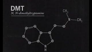 DMT RUINED MY LIFE- 2 years later