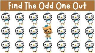 Find The Odd One Out: Octonauts Above and Beyond