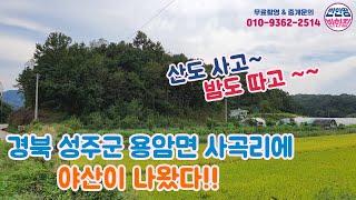 경북 성주군 용암면 사곡리 전원주택지 매매 (feat:야산 함 사보자!!)