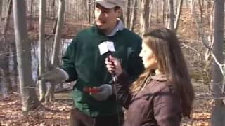 Towning Around Jessica Spencer @ Cranberry Lake Nature Preserve