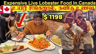  உயிர் சிங்கரால் உணவகம் ! Live Lobster Food in Scarborough  Canada tamil Youtuber