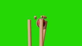 Green Screen Cricket Animation with Bowled Wicket Out | Close view at Stumps Hitting | 4K Resolution