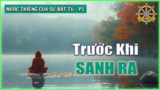 Ta đã là gì trước khi nhập thai? | Nước Thiêng Của Sự Bất Tử - phần 1