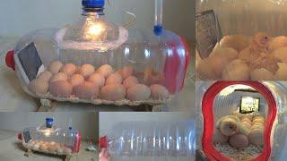 How to make a home incubator and open chicks | اصنع حاضنة في المنزل