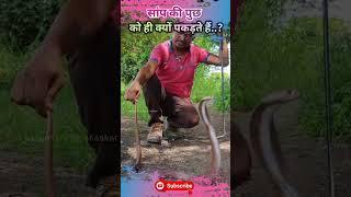 सांप की पुछ को ही क्यों पकड़ते हैं | Saap Ko Kaise Pakde | Snake Rescue #shorts