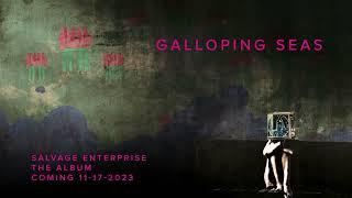 The Polyphonic Spree - Galloping Seas (Visualizer)