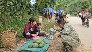 How does a poor single mother in the forest earn money to buy rice? - Harvesting papaya - Sung Luyen