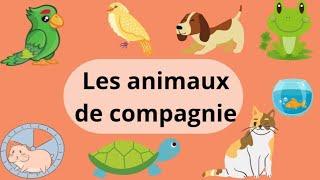 Les animaux de compagnie