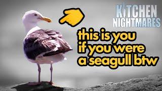 this is you as a seagull (just fyi) | Kitchen Nightmares | Gordon Ramsay