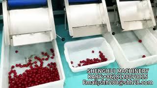 Cherry Tomato Grader Fruit and vegetables sorting machine
